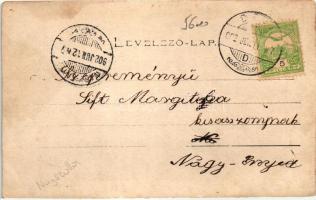 1902 Nagyszőlős, Vynohradiv; Vármegyeháza / county hall, photo (EB)