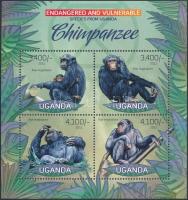 Chimpanzee mini sheet, Csimpánz kisív
