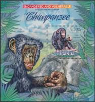 Chimpanzee block, Csimpánz blokk