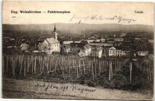 Fehértemplom, Ung. Weisskirchen, Bela Crkva; szőlőkert / vineyard