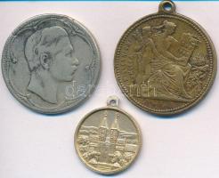 Vegyes 1896. "Milleniumi emlék - Ferenc József" Br emlékérem (29mm) + DN "Frigyes csá...