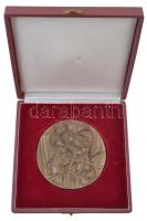 Mladonyiczky Béla (1936-1995) 1968. Br plakett tokban (95mm) T:1-