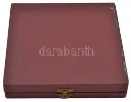 Mladonyiczky Béla (1936-1995) 1968. Br plakett tokban (95mm) T:1-