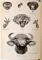 Széchenyi Zsigmond: Náhar. Indiai útinapló. Budapest, 1958, Szépirodalmi Könyvkiadó, 486. Kiadói fél...