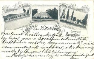 1899 Borossebes, Sebis; Uradalmi főerdészi lak, uradalmi felügyelőség, gazdasági intézőség, kúria, kiadja Storch E. / forestry house, officer&#039;s house, villa, floral