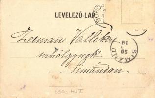 1899 Borossebes, Sebis; Uradalmi főerdészi lak, uradalmi felügyelőség, gazdasági intézőség, kúria, k...