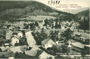 Csucsa, Ciucea; Látkép, kiadja G. Simon & Co. / general view (Rb)