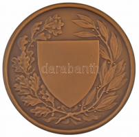 Berán Lajos (1882-1943) 1926. "Országos Testnevelési Tanács" Br érem eredeti dísztokban (6...