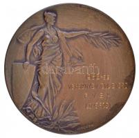 1938. "Nagykanizsa a Zrínyiek városa" Br emlékérem "ARKANZAS BPEST" gyártói jelz...