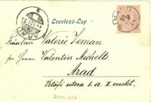 1899 Simánd, Simand; Báró Bánhidy kastély / castle (vágott / cut)