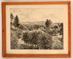 Csanády András(1929-): A domb felöl. Rézkarc, papír, jelzett, üvegezett keretben, 28×40 cm