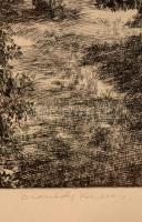 Csanády András(1929-): A domb felöl. Rézkarc, papír, jelzett, üvegezett keretben, 28×40 cm