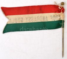 cca 1880 Éljen Gróf Andrássy Gyula nemzetiszínű választási zászló réz tűvel. 7,5x3 cm