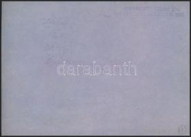 cca 1930 Kerny István (1879-1963): Heti nagymosás a Balatonban, pecséttel jelzett, vintage fotóművés...