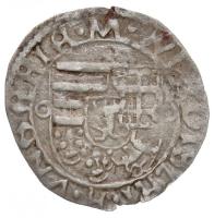 1494. Denár "II. Ulászló" (0,57g) T:2,2-
Huszár 803.,Unger I.: 638.c