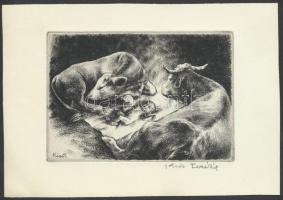 Kiss Terézia (1928- ):Újszülött. Rézkarc, papír, jelzett, 9×13 cm