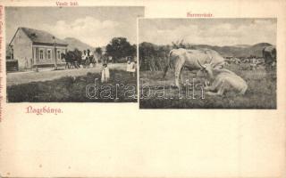 Nagybánya, Baia Mare; 'Vasút felé' utcarészlet, baromvásár, kiadja Kovács Gyula / street, livestock sales