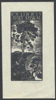 Antonín Doležal (?-?) : Ex libris, fametszet, papír, jelzett, 9×4cm
