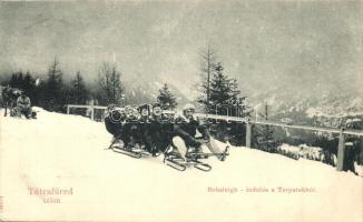 Tátrafüred, Bobsleigh télen, indulás a Tarpatakból / bobsleigh, winter sport (EB)