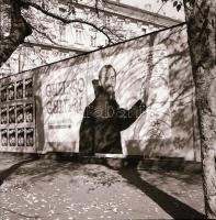 cca 1940 Balatoni negatívok és pozitív képek, Bónis László hagyatékában őrzött 10 db szabadon felhas...