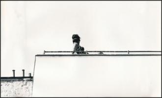 1966 Jurica Tibor: A napozó, feliratozott vintage fotóművészeti alkotás, 14,5x24 cm