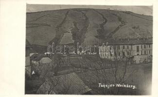 1917 Tokaj, Szőlőhegy / Weinberg, photo