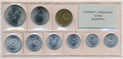 1981. 2f-10Ft 9db klf érmés forgalmi sor fóliatokban T:1