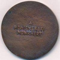 1991. "Veszprém Megyei Honismereti Egyesület / A honismereti munkáért" öntött Br emlékérem...