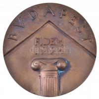 1994. &quot;FIDEM (Nemzetközi Éremművészeti Kiállítás) Budapest / XXIV&quot; Br emlékplakett (88mm) T:2 kis patina