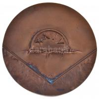 1994. "FIDEM (Nemzetközi Éremművészeti Kiállítás) Budapest / XXIV" Br emlékplakett (88mm) ...