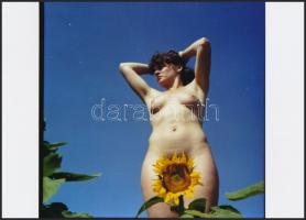 cca 1985 Napimádó szépségek, 5 db finoman erotikus fénykép, korabeli negatívokról készült mai nagyít...