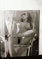 cca 1972 Akt reprók magazinokból, 32 db negatív tároló tasakban, 24x26 mm