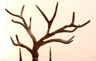 Fekete Tamás (1931-2007): Üllői úti fa. Bronz, jelzett, számozott 10/10, m: 30 cm