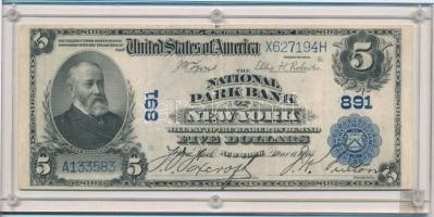 Amerikai Egyesült Államok 1922-1927. (1902) 5$ &quot;National Park Bank - New York&quot;, &quot;National Bank Note&quot;, kék pecsét, hátlap évszám nélkül, &quot;J.W. Lyons - E.H. Roberts - J.H. Fulton&quot; aláírások, plasztik  tokban T:III tűnyom USA 1922-1927. (1902) 5 Dollars &quot;National Park Bank - New York&quot;, &quot;National Bank Note&quot;, blue seal, plain back, &quot;J.W. Lyons - E.H. Roberts - J.H. Fulton&quot; signatures, in plastic case C:F pinhole Hessler-Chambliss 2006. 466.p