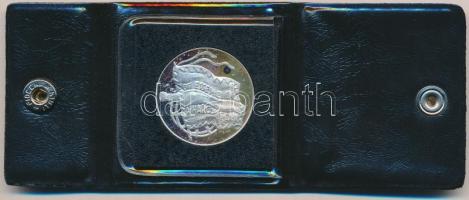 Csúcs Viktória (1934-) DN "Petőfi Sándor / Ott essem el én, a harc mezején." Ag emlékérem ...