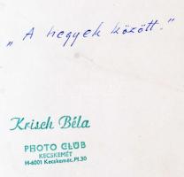 cca 1960 Krisch Béla: A hegyek között, pecséttel jelzett vintage fotóművészeti alkotás, 30x40 cm