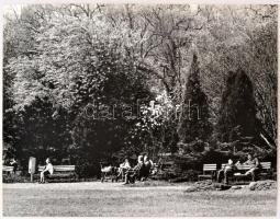 cca 1975 Városliget I-II., Magyar Alfréd feliratozott fotói, 40x30 cm