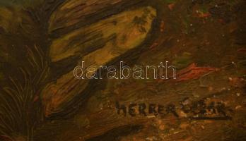 Herrer jelzéssel: Elhagyott erőd. Olaj, karon, keretben, 34×24 cm