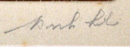 cca 1930 Színezett, egész alakos műtermi fotó, 23x15 cm, karton 30x23,5 cm