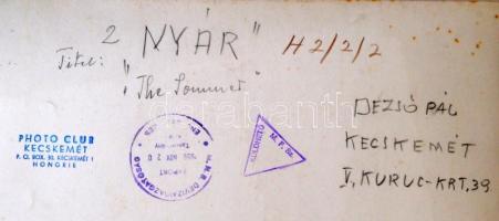 cca 1959 Dezső Pál: Nyár, feliratozott vintage fotóművészeti alkotás, 40x30 cm