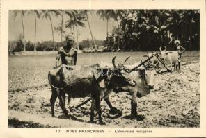 INDIA 350 db régi képeslap sok érdekességgel / 350 old postcards, interesting lot