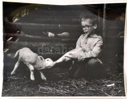 cca 1970 Gondoskodó kisgazda, vintage fotó, 23x29 cm