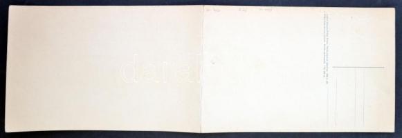 Poprád, Poprad; A Magas-Tátra látképe, 45x14 cm panorámalap, kiadja Földes Samu / general view, moun...