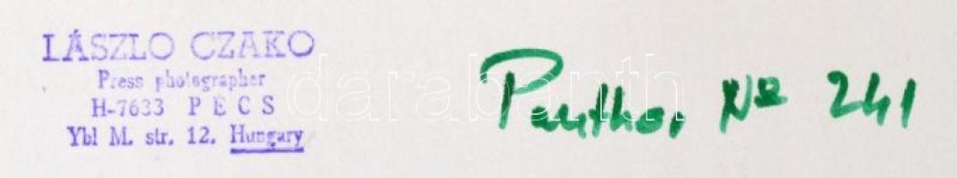 cca 1970  Czakó László: Párduc, pecséttel jelzett vintage fotómontázs, 39,5x21,5 cm