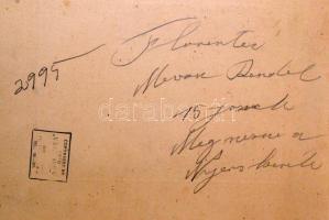 cca 1936 Várkonyi Stúdió színezett portré felvétele, aláírva, matricával jelzett vintage fotó, 23x17...