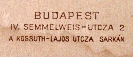 cca 1930 Erdélyi Mór (1866-1934) műtermében készült, posztamensre támaszkodó, egész alakos fotó, 19,...
