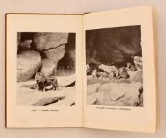 1912 Budapest Székesfővárosi Állatkert útmutatója, sok fotóval illusztrált kiadvány, 16x11cm