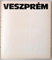 Csatkai Endre: Sopron. Budapest, 1956,  Képzőművészeti Alap Kiadóvállalata. Kiadói félvászon kötésbe...