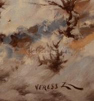 Veress Zoltán (1868-1935): Téli falu. Olaj, vászon, jelzett, keretben, 50×70 cm