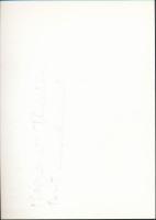 Margaret Thatcher beszédet mond, fotó, hátulján feliratozva, 18×12,5 cm